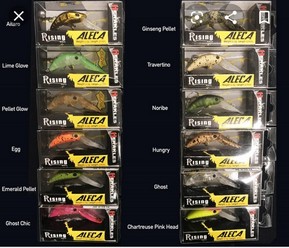 XiYee Esche da Pesca, 109 Pezzi Esche Artificiali da Pesca Contiene Esche,  Vermi, Esche Dure, Insetti, Treble Hooks, Ganci Singolo, Luccio Spoon,con  Scatola Adatto : : Sport e tempo libero